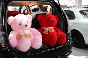 red and pink teddy toy