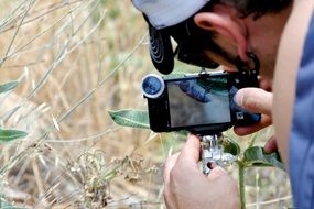 photographing of plants close up