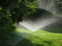 garden rush