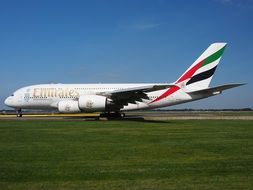 airbus a380 on green grass