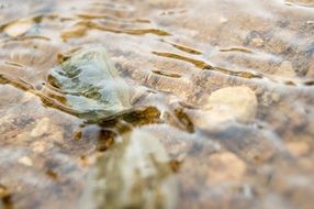 river current stones