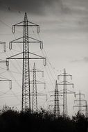 power lines in black and white