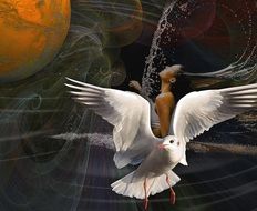 white dove on a background of a girl