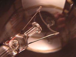 fragile glass bulb close-up