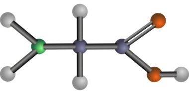 glycine amino acid biology drawing