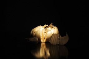 isolated garlic bulb