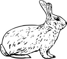 black and white drawing of a hare