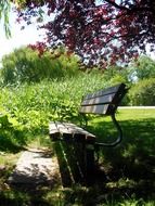 wooden bench in the shade of the park