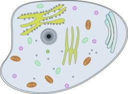 view cell information drawing