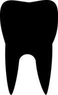 black tooth on white background