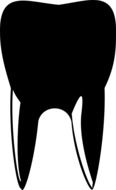 silhouette of a human tooth
