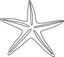 drawn starfish