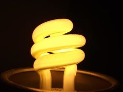 Macro photo of yellow light bulb