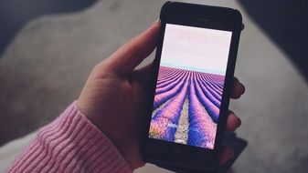 photo of lavender field on the phone screen