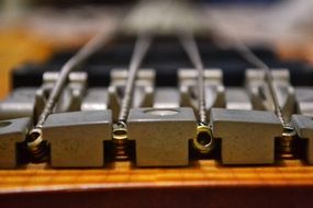 Side view of the bass guitars close-up