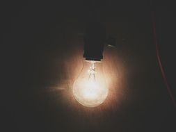 incandescent bulb In the dark