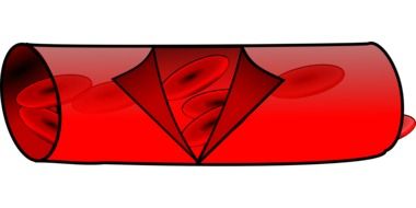 illustration of blood vessel
