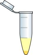 yellow liquid in vitro as a graphic image