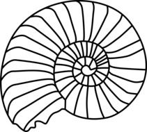 fossil animal biology drawing