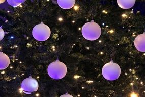 purple Christmas lights decoration on a tree