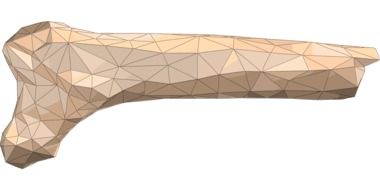 3d bone clipart