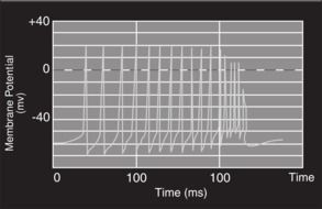 electric potential on display