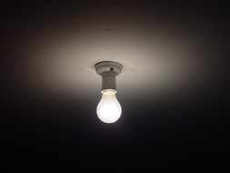 lighting bulb in the dark