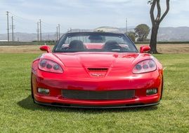 luxury red car in nature