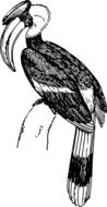 painted bird in books on zoology