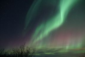 green northern lights