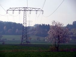 power poles in rural areas