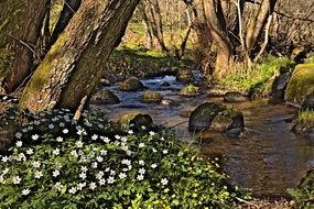 river in the gorge of Narva