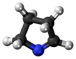 pyrroline heterocycle ball stick drawing