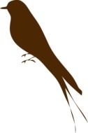 Brown silhouette of a swallow