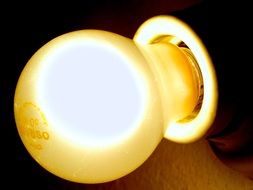 light bulb in the form of pear in a dark