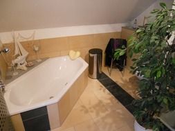 interior of bathroom with tiles on floor and wall