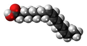 alpha-paric acid model