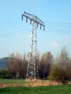 support for electrical wiring near trees