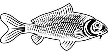 Black and white drawing of a fish clipart