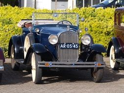 exhibition of retro cars near the bushes