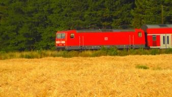 train with an orange locomotive among nature