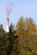 chimney among green trees