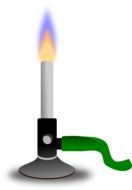 Bunsen burner is a device with an injector