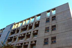 national central university newnham