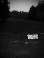 current on a meadow