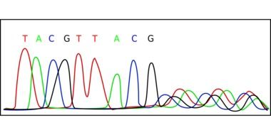 chromatogram of DNA sample produced by a sequencing machine