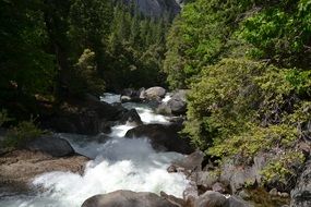 rocky waterfall among the trees