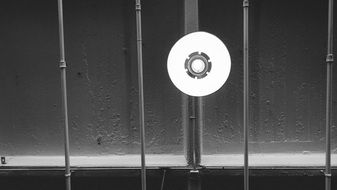 black and white photo of incandescent lamp