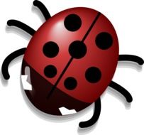 Ä°llustration of Cute ladybug