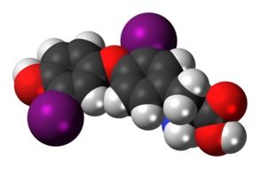 model of diiodothyronine molecule